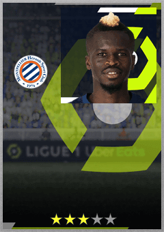 Falaye Sacko