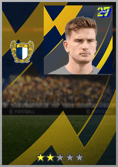Tom van de Looi