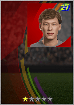 Arjen van der Heide