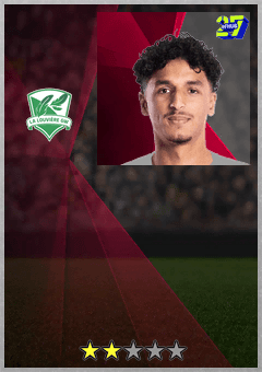 Mehdi Boukamir