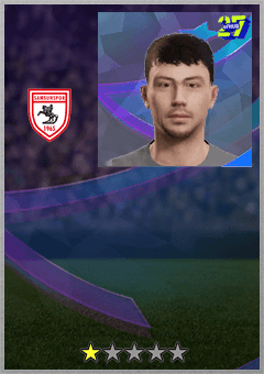 Tahsin Bulbul