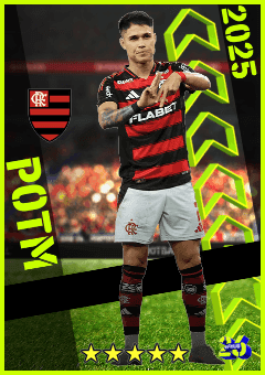 Luiz Araujo