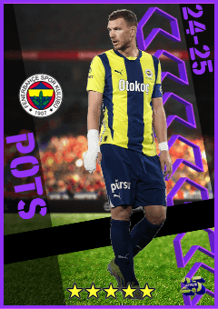 Edin Dzeko